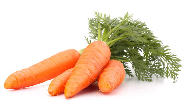 Lagerung Karotten 